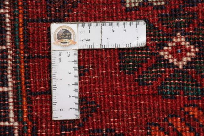 Shiraz - 1