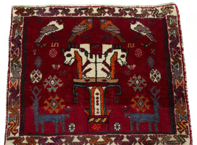Shiraz - 3