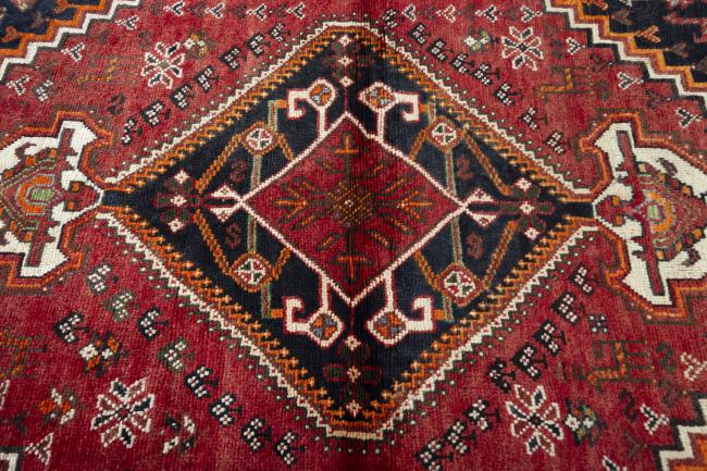 Shiraz - 5