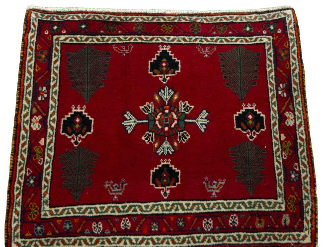 Shiraz - 3
