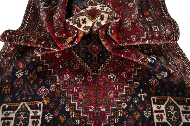 Shiraz - 8