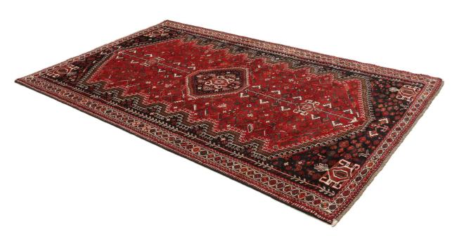 Shiraz - 4