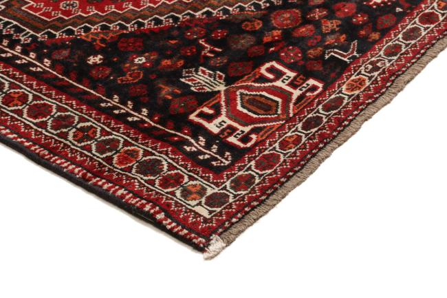 Shiraz - 6
