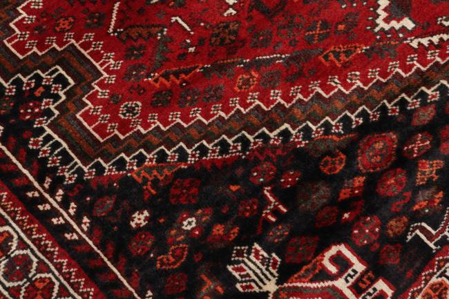 Shiraz - 7