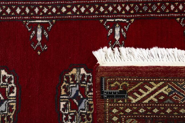 Pakistan Buchara 2ply - 1
