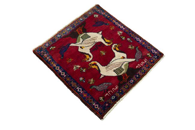 Shiraz - 2