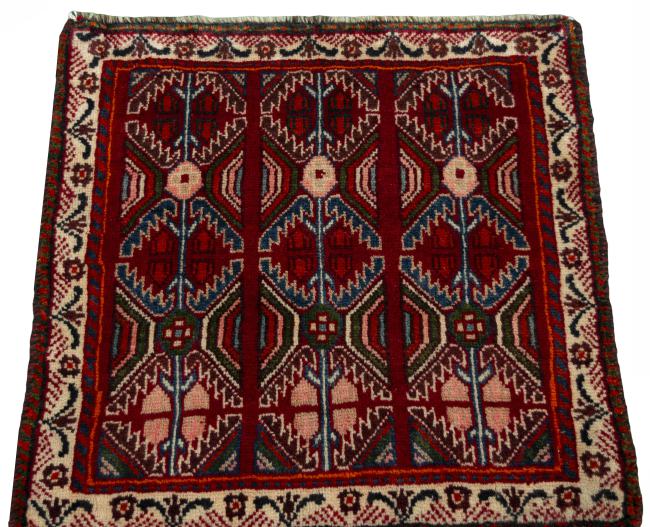 Shiraz - 3