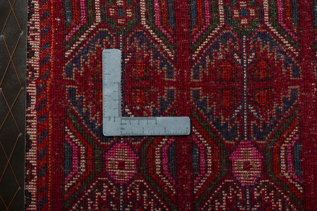 Shiraz - 4