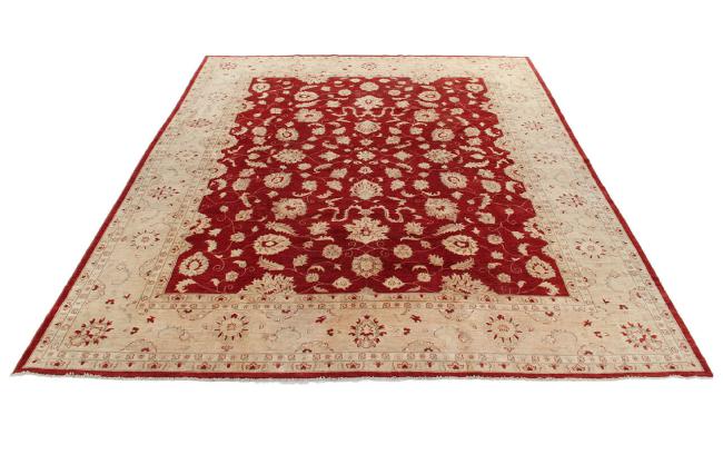 Ziegler Farahan - 3