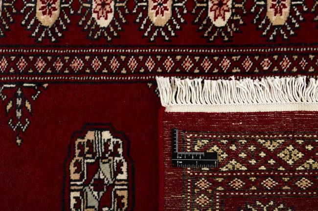 Pakistan Buchara 2ply - 1