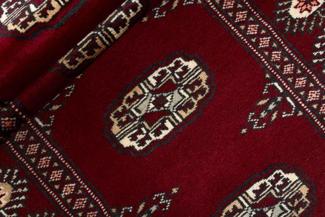 Pakistan Buchara 2ply - 2