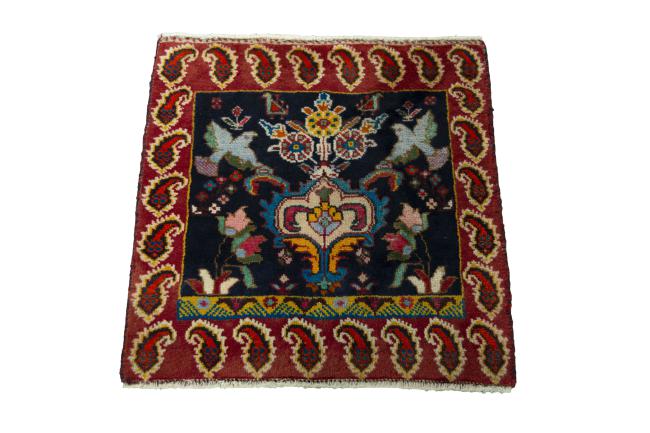 Shiraz - 3