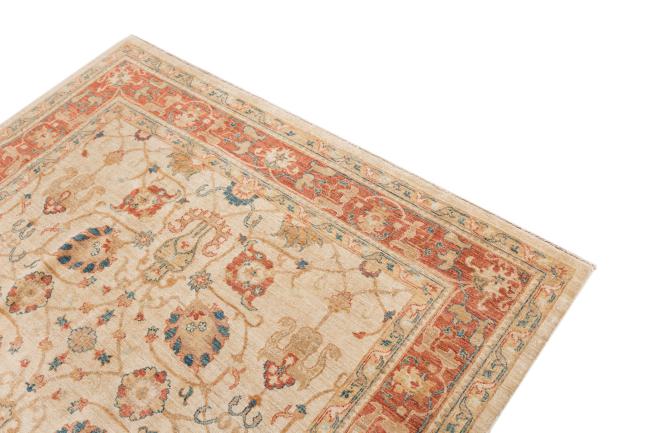 Ziegler Farahan - 3