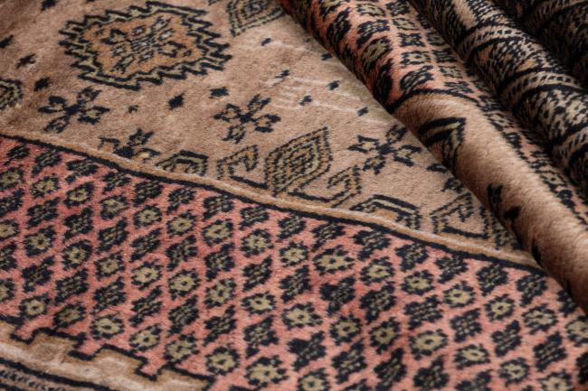 Pakistan Buchara 2ply - 7