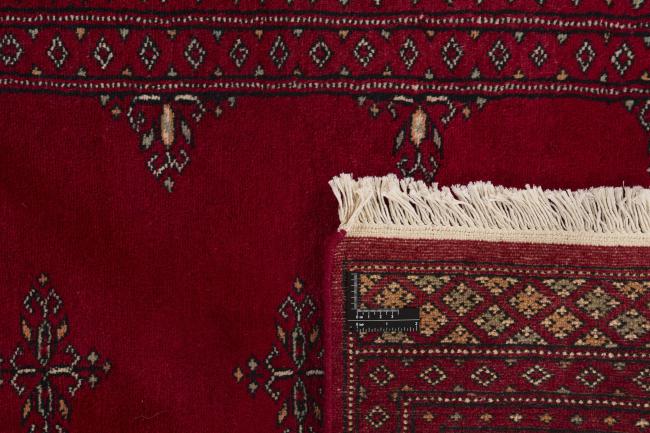 Pakistan Buchara 2ply - 1