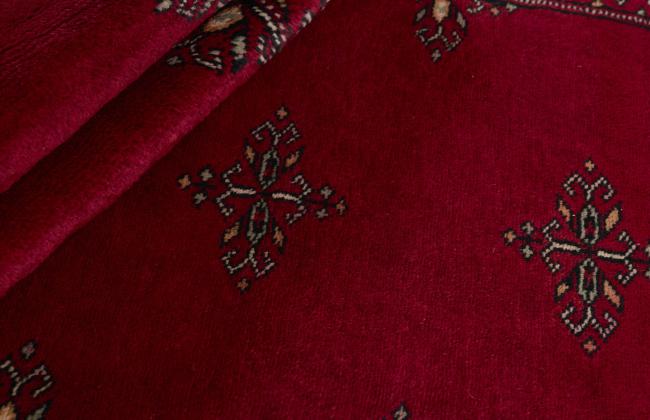 Pakistan Buchara 2ply - 2