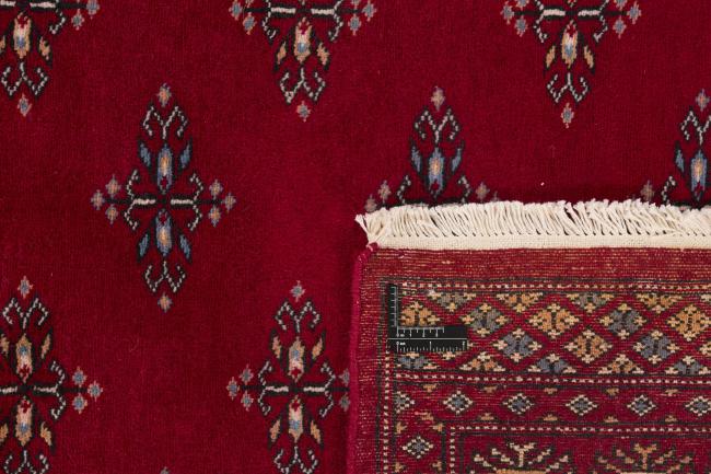 Pakistan Buchara 2ply - 1