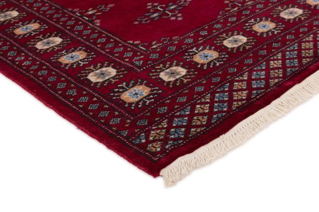 Pakistan Buchara 2ply - 3