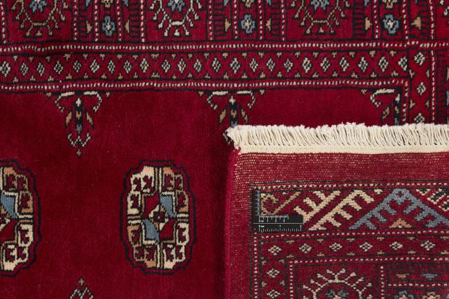 Pakistan Buchara 3ply - 1