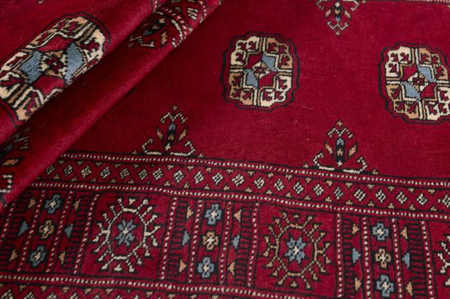 Pakistan Buchara 3ply - 2