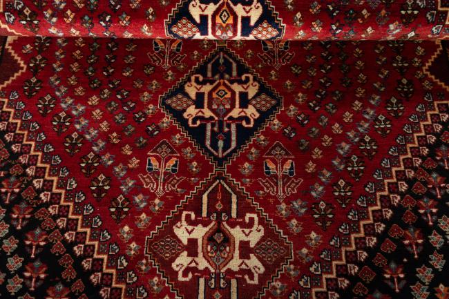 Shiraz - 7