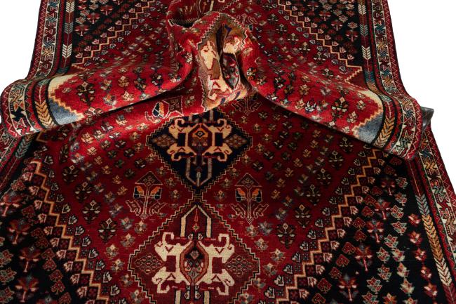 Shiraz - 8