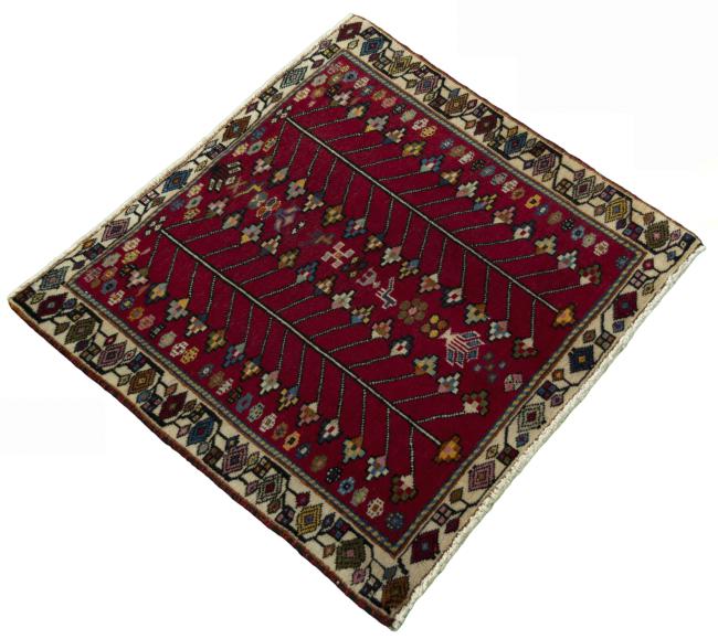 Shiraz - 2