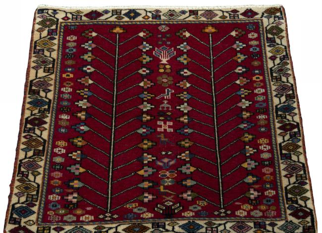 Shiraz - 3