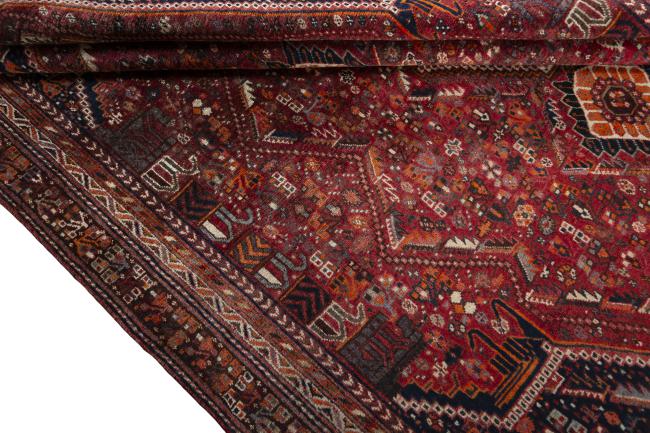 Shiraz - 7