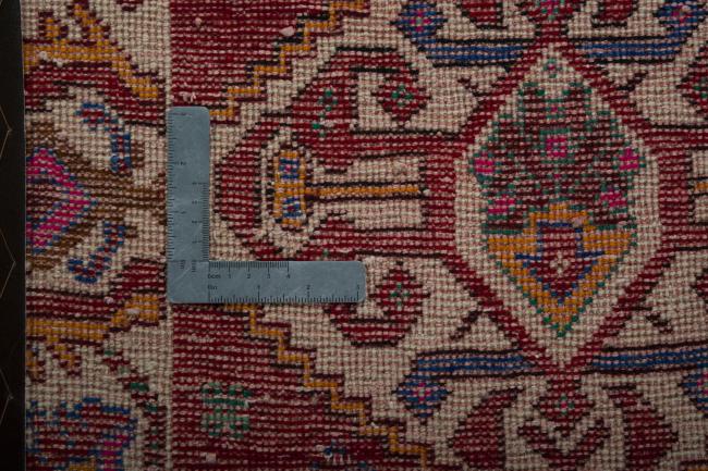 Shiraz - 4