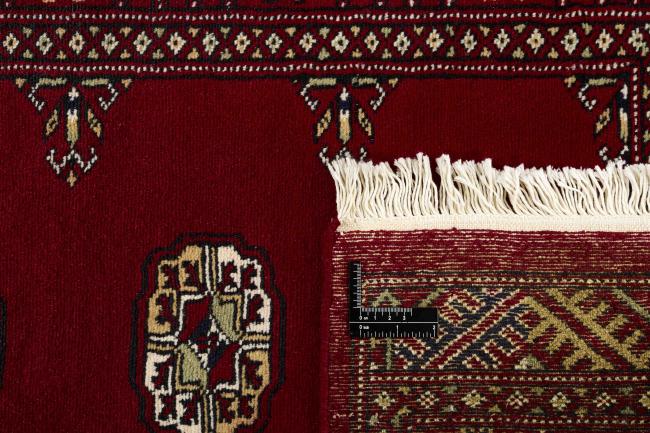 Pakistan Buchara 2ply - 1