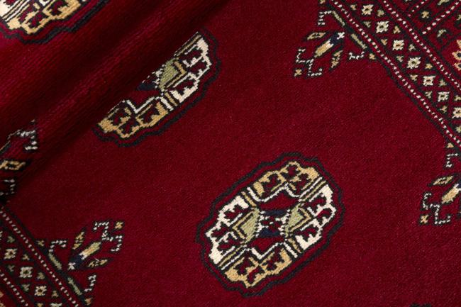 Pakistan Buchara 2ply - 2