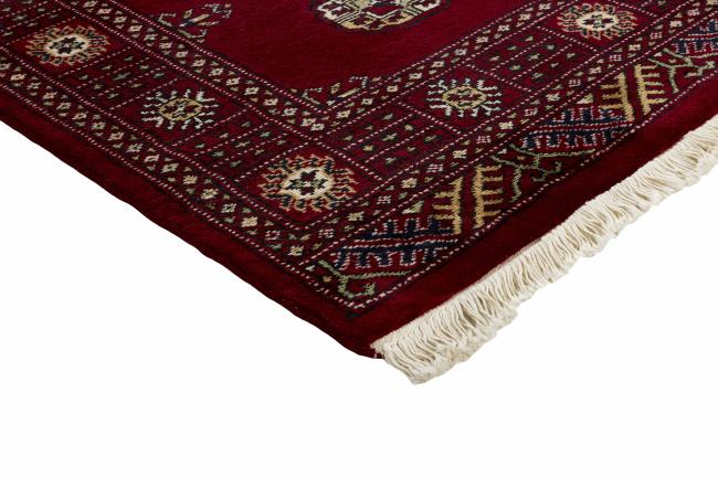 Pakistan Buchara 2ply - 3