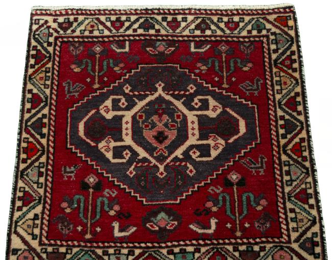 Shiraz - 3
