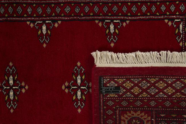 Pakistan Buchara 2ply - 1