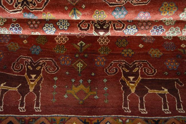Shiraz - 8
