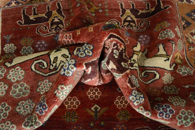 Shiraz - 9