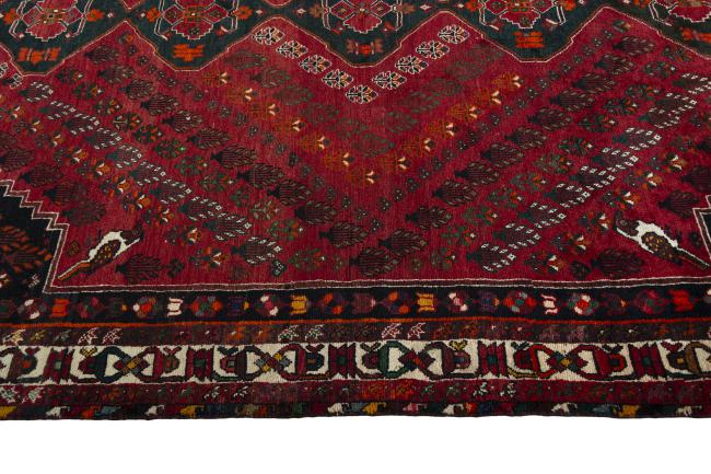 Shiraz - 6