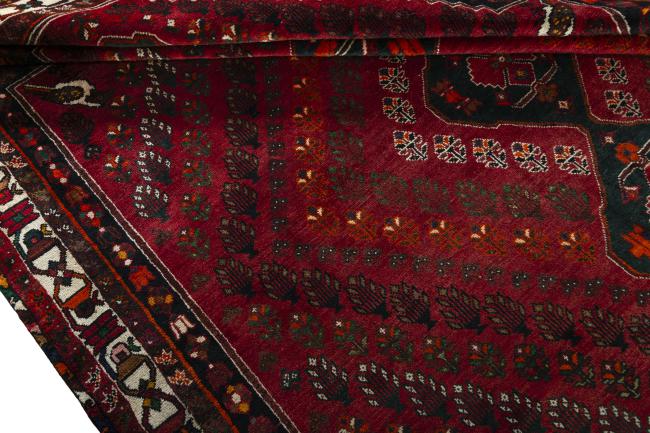 Shiraz - 7
