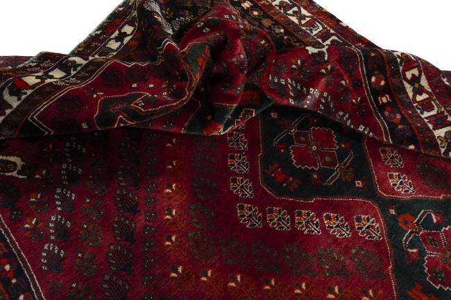 Shiraz - 8