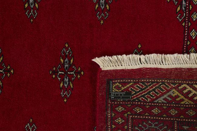 Pakistan Buchara 2ply - 1