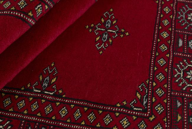 Pakistan Buchara 2ply - 2