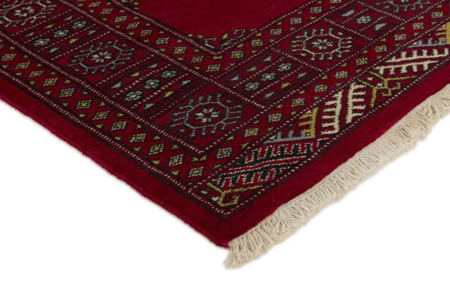 Pakistan Buchara 2ply - 3