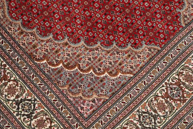 Tabriz 50Raj Mahi - 5