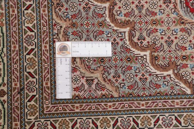 Tabriz 50Raj Mahi - 9