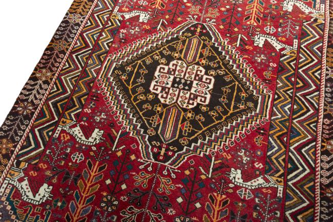 Shiraz - 4