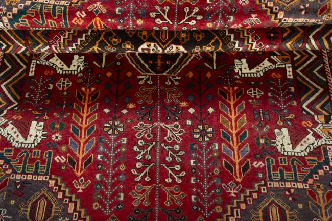 Shiraz - 8