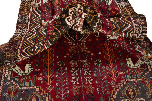 Shiraz - 9