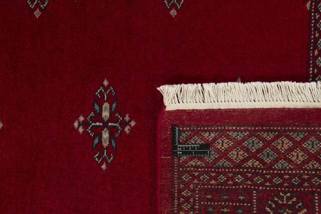 Pakistan Buchara 2ply - 1