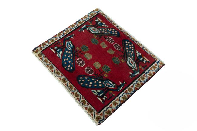 Shiraz - 1